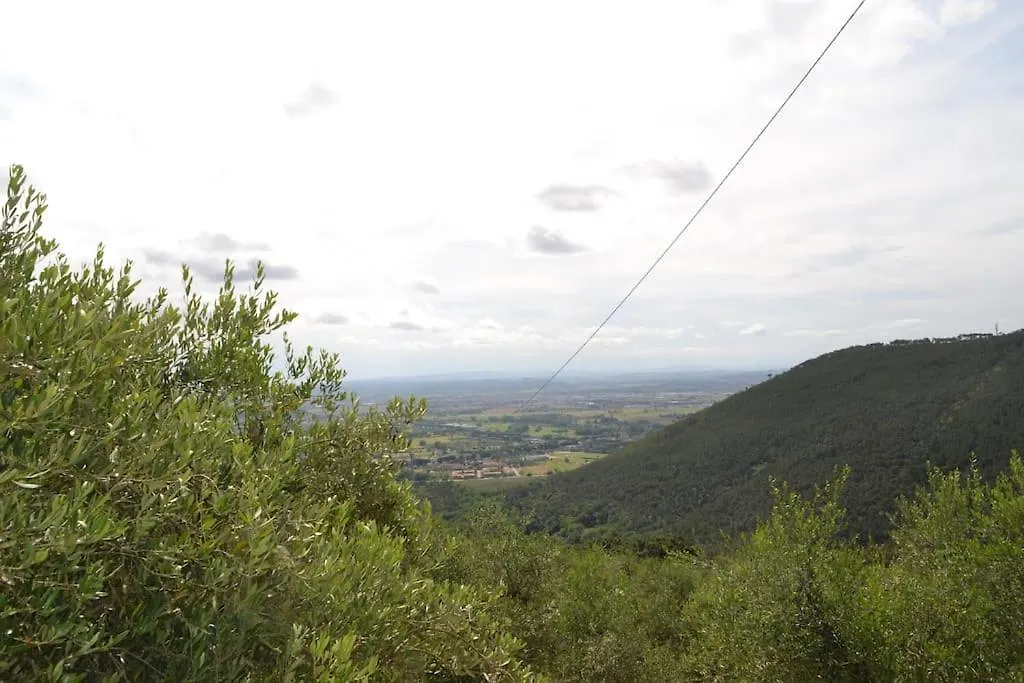Villa Il Rustico Vicopisano