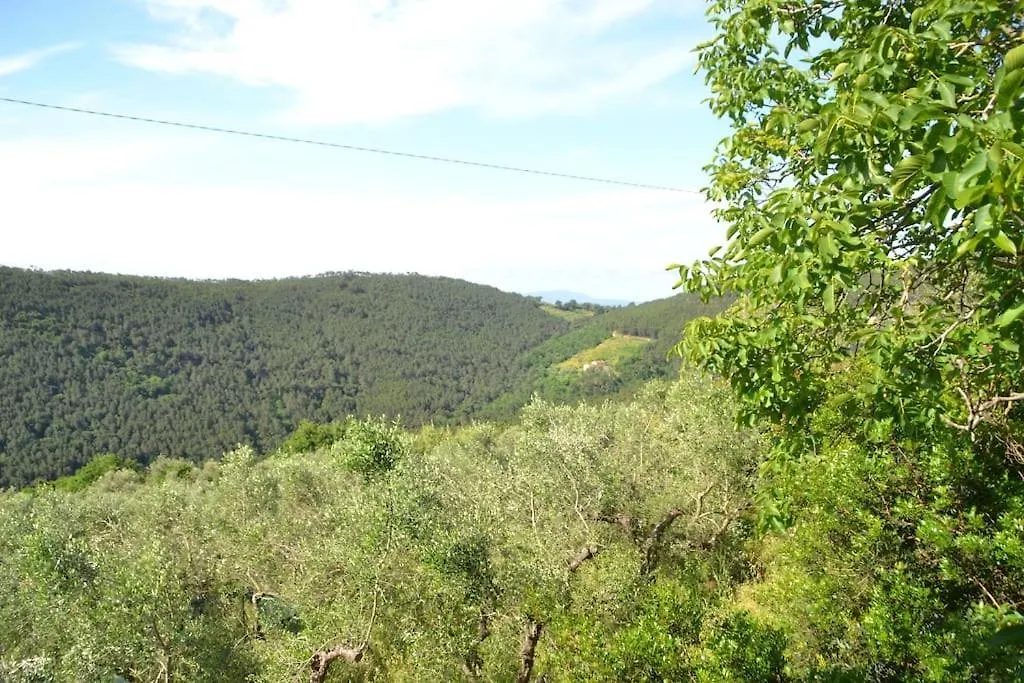 Ferienhaus Villa Il Rustico Vicopisano Italien