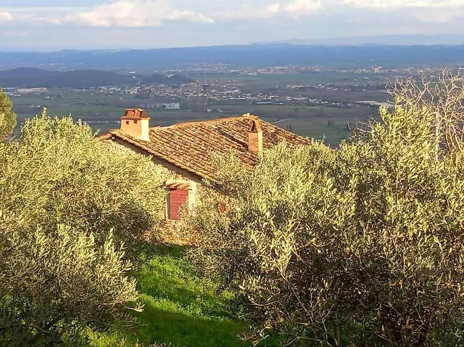 Villa Il Rustico Vicopisano